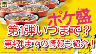 ポケ盛牛丼